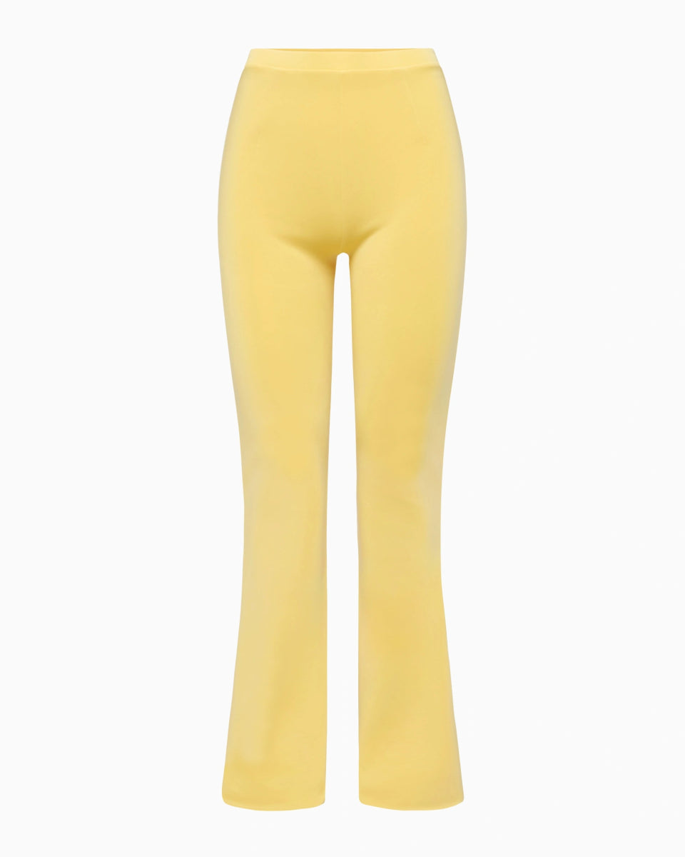Butter Yellow Sueded Stretch Low Rise Pants