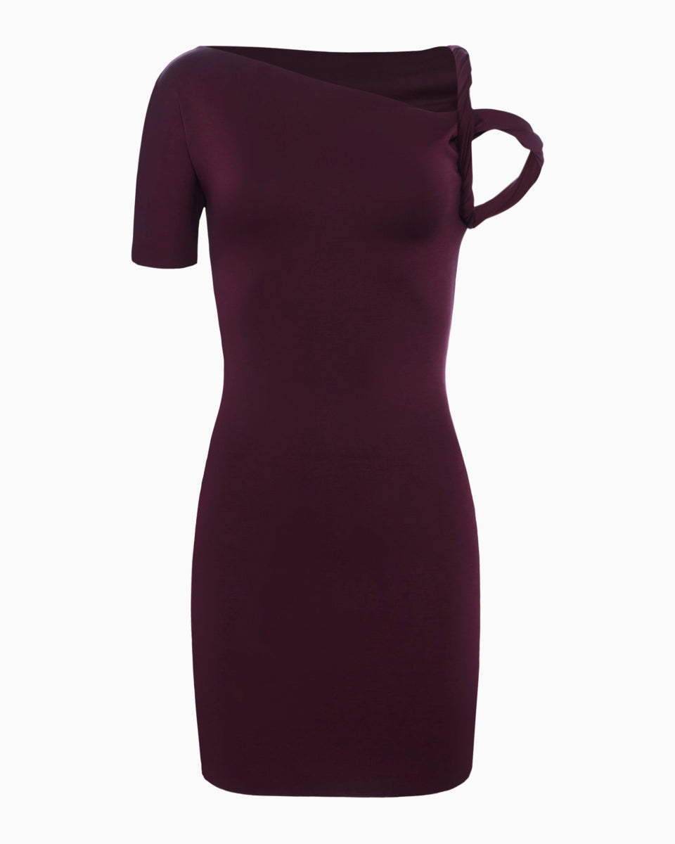 Black Cherry Suede Stretch Mini Dress